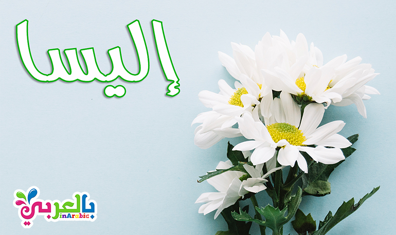 معنى اسم اليسا