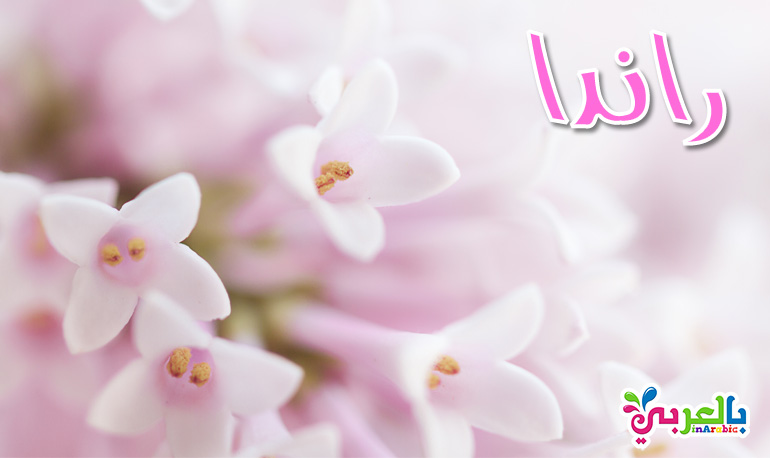 معنى اسم رندا