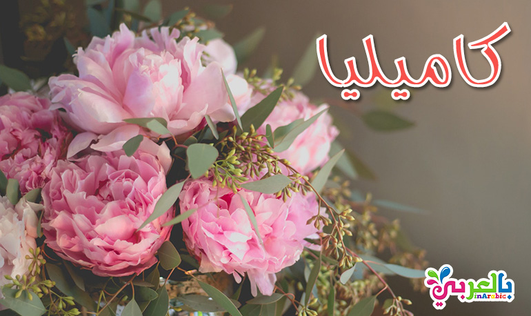 معنى اسم كاميليا