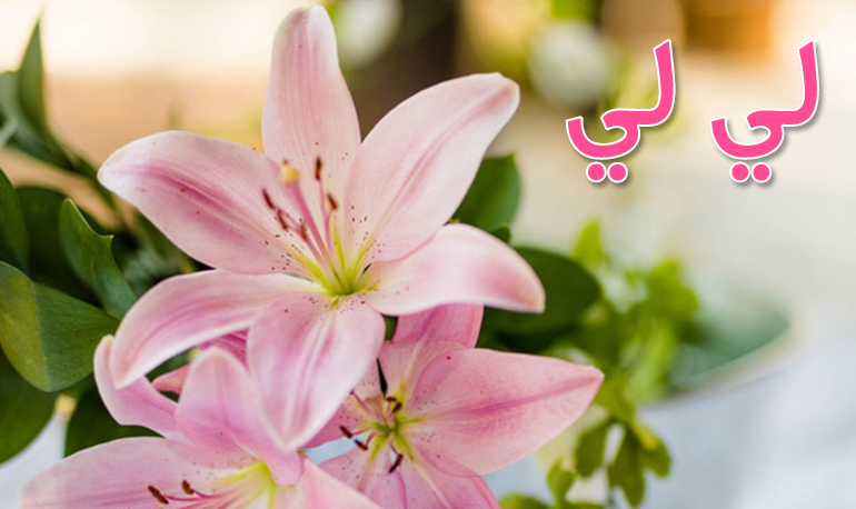 معنى اسم لي لي