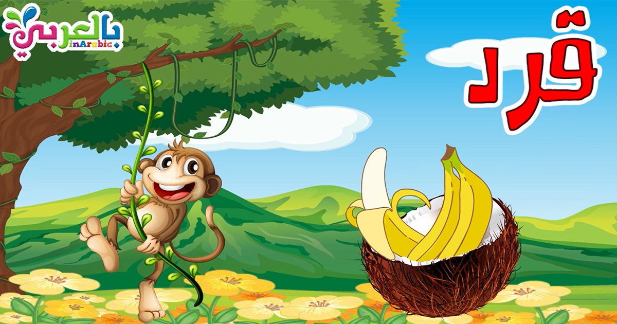 معلومات عن القرد للاطفال في هذا الفيديو تعرف على القرد وماذا يأكل