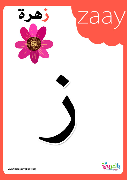 Arabic Alphabet Flashcards With Pictures 