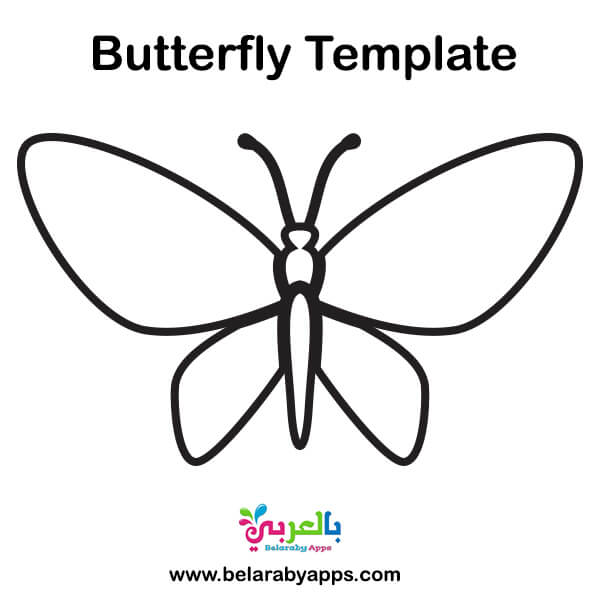 free printable butterfly templates different size butterflies belarabyapps