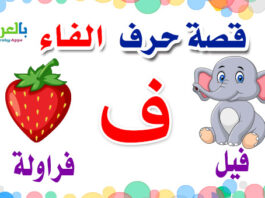 arabic alphabet story for letter Faa