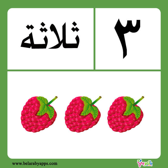 free arabic numbers 1 20 flashcards printable belarabyapps