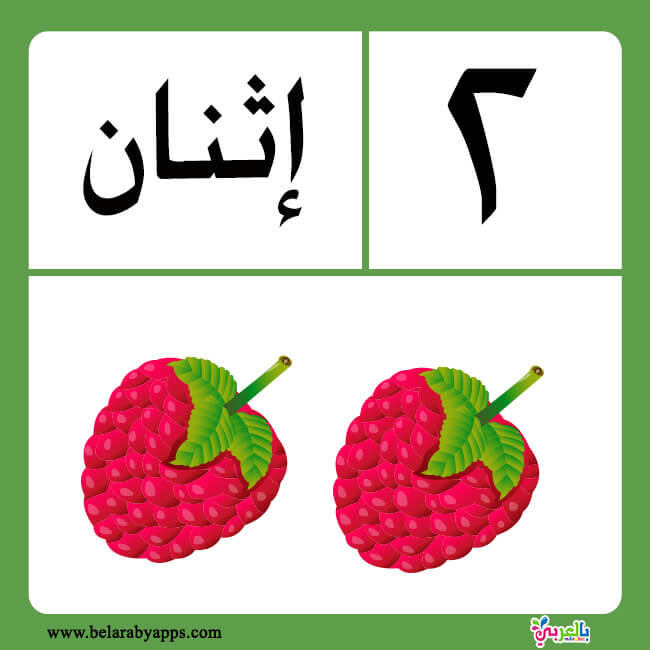 free arabic numbers 1 20 flashcards printable belarabyapps