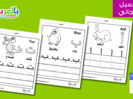 كراسة تدريبات للتمرن على كتابة الحروف العربية