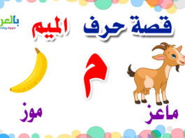 arabic alphabet story for letter meem