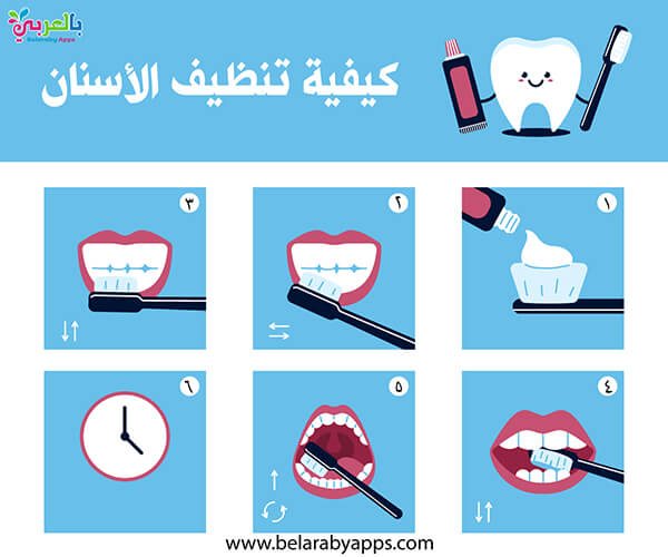 خطوات تنظيف الاسنان بالصور للاطفال الطريقة المثلى لتنظيف الأسنان بالفرشاة بالعربي نتعلم