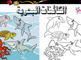 صور تلوين الكائنات البحرية وحدة الماء - رسومات اسماك للتلوين