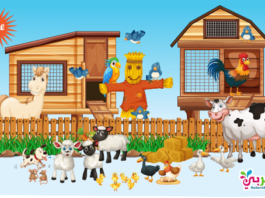 بطاقات تعليم حيوانات المزرعة لرياض الأطفال