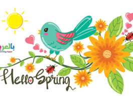 صور خلفيات الربيع 2023 - اجمل الصور وخلفيات عن فصل الربيع