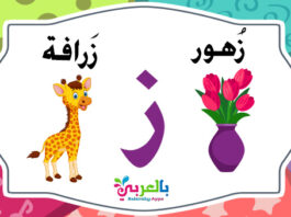 arabic letter zay words