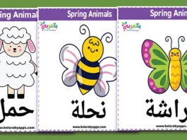 ملصقات حيوانات فصل الربيع